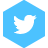 2015 Social Media icon - Twitter